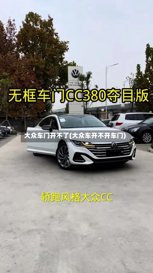 大众车门开不了(大众车开不开车门)-第2张图片