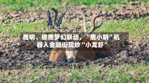 鹿明	、橡鹿梦幻联动	，“鹿小明	”机器人金融街现炒“小龙虾”-第1张图片