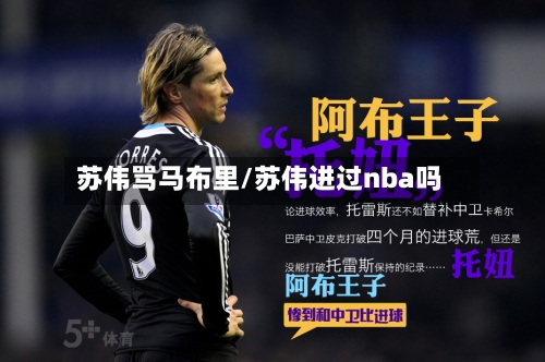 苏伟骂马布里/苏伟进过nba吗-第1张图片
