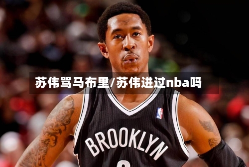 苏伟骂马布里/苏伟进过nba吗-第2张图片