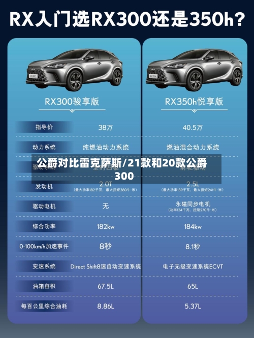 公爵对比雷克萨斯/21款和20款公爵300-第3张图片