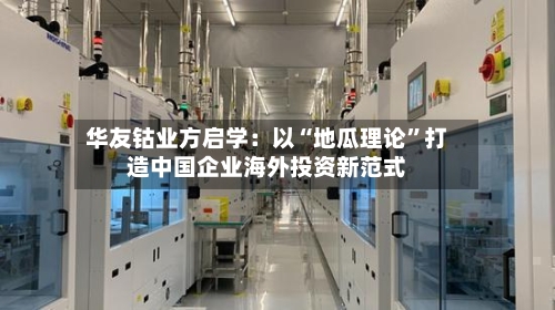 华友钴业方启学：以“地瓜理论”打造中国企业海外投资新范式-第2张图片