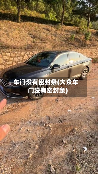 车门没有密封条(大众车门没有密封条)-第1张图片