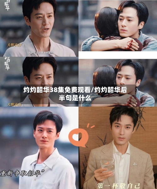 灼灼韶华38集免费观看/灼灼韶华后半句是什么-第2张图片