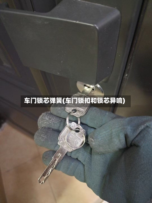 车门锁芯弹簧(车门锁扣和锁芯异响)-第3张图片