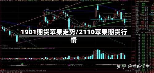 1901期货苹果走势/2110苹果期货行情-第2张图片