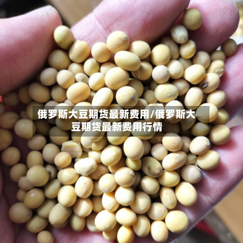 俄罗斯大豆期货最新费用/俄罗斯大豆期货最新费用行情-第1张图片