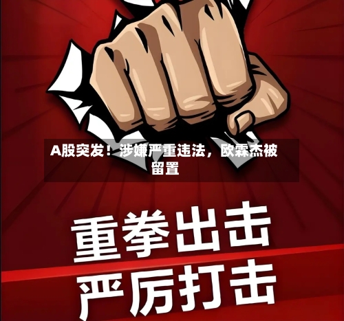 A股突发！涉嫌严重违法	，欧霖杰被留置-第1张图片