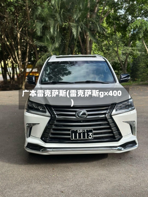 广本雷克萨斯(雷克萨斯g×400)-第1张图片
