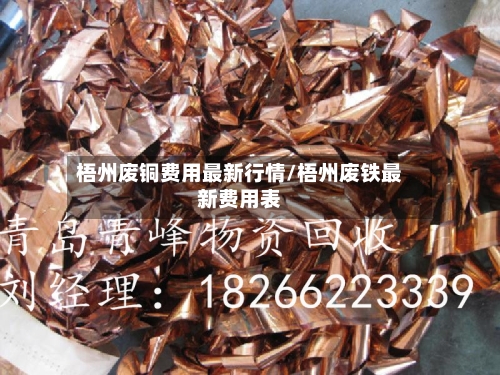 梧州废铜费用最新行情/梧州废铁最新费用表-第2张图片