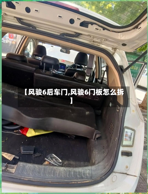 【风骏6后车门,风骏6门板怎么拆】-第3张图片