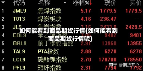 如何能看到商品期货行情(如何能看到商品期货行情呢)-第3张图片