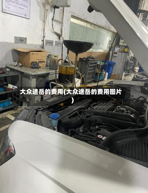 大众途岳的费用(大众途岳的费用图片)-第1张图片