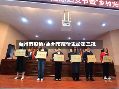 禹州市疫情/禹州市疫情表彰第三批-第2张图片