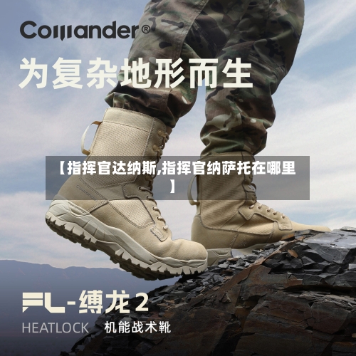 【指挥官达纳斯,指挥官纳萨托在哪里】-第1张图片