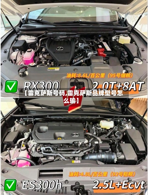 【雷克萨斯号码,雷克萨斯品牌型号怎么输】-第1张图片