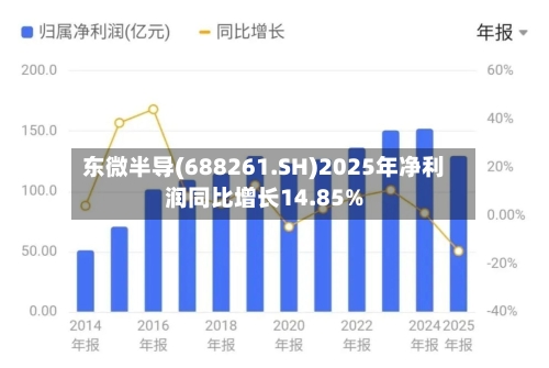 东微半导(688261.SH)2025年净利润同比增长14.85%-第1张图片