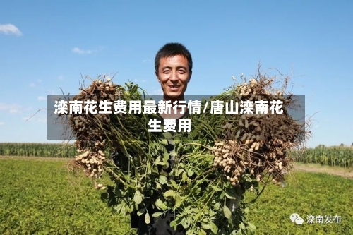 滦南花生费用最新行情/唐山滦南花生费用-第2张图片