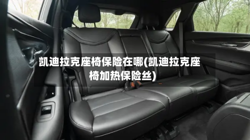 凯迪拉克座椅保险在哪(凯迪拉克座椅加热保险丝)-第1张图片