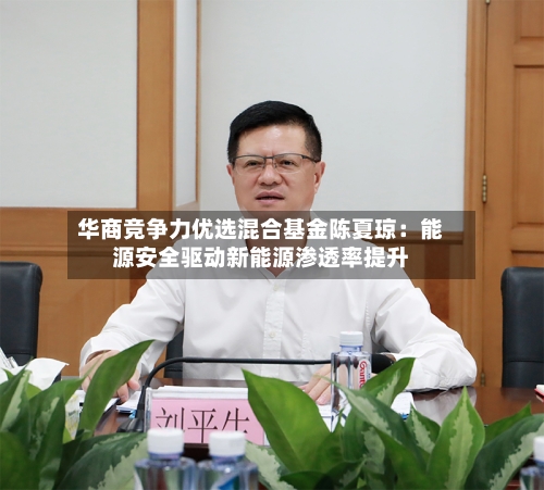 华商竞争力优选混合基金陈夏琼：能源安全驱动新能源渗透率提升-第2张图片