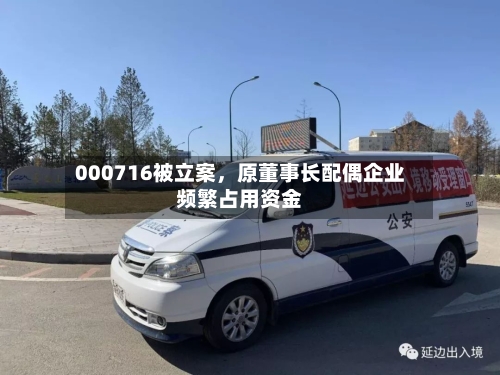 000716被立案，原董事长配偶企业频繁占用资金-第1张图片