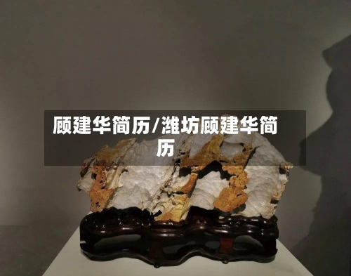 顾建华简历/潍坊顾建华简历-第2张图片