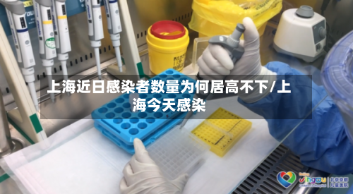 上海近日感染者数量为何居高不下/上海今天感染-第3张图片