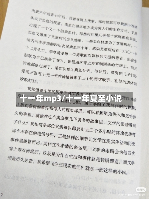 十一年mp3/十一年夏至小说-第1张图片