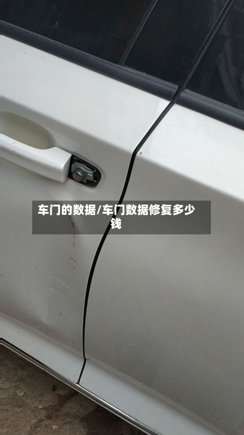车门的数据/车门数据修复多少钱-第1张图片