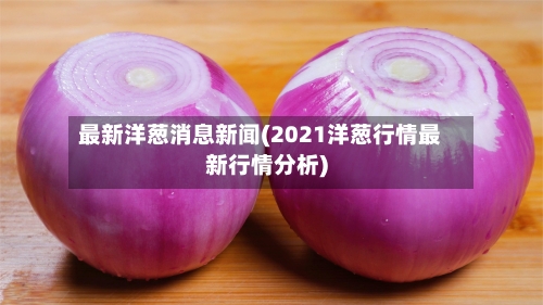 最新洋葱消息新闻(2021洋葱行情最新行情分析)-第2张图片