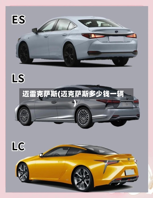 迈雷克萨斯(迈克萨斯多少钱一辆)-第1张图片