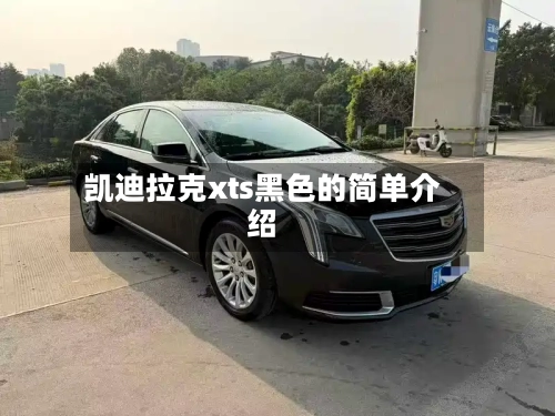 凯迪拉克xts黑色的简单介绍-第1张图片