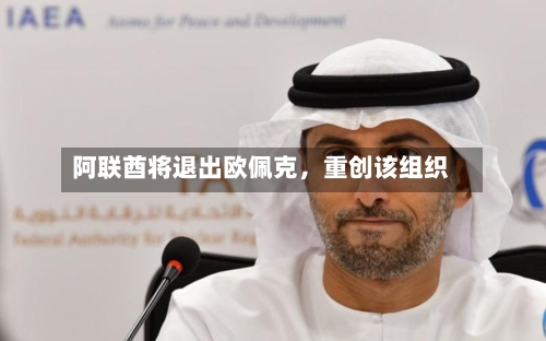 阿联酋将退出欧佩克，重创该组织-第2张图片