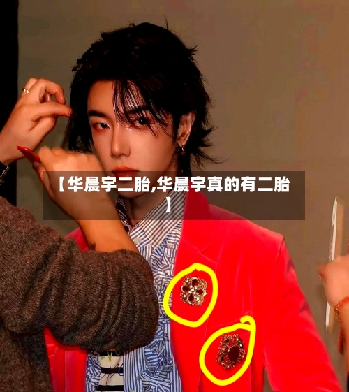 【华晨宇二胎,华晨宇真的有二胎】-第2张图片
