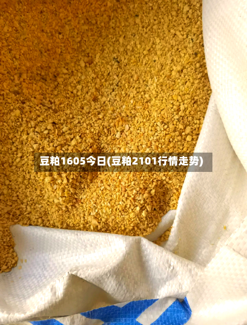 豆粕1605今日(豆粕2101行情走势)-第1张图片