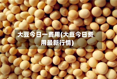 大豆今日一费用(大豆今日费用最新行情)-第3张图片