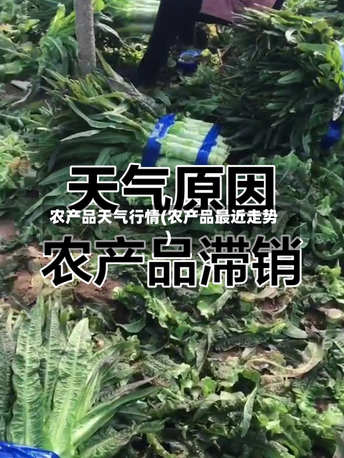 农产品天气行情(农产品最近走势)-第2张图片