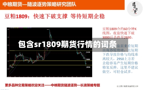 包含sr1809期货行情的词条-第3张图片