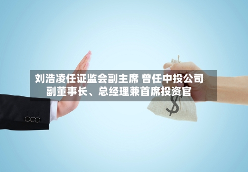 刘浩凌任证监会副主席 曾任中投公司副董事长、总经理兼首席投资官-第3张图片