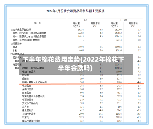 下半年棉花费用走势(2022年棉花下半年会跌吗)-第2张图片