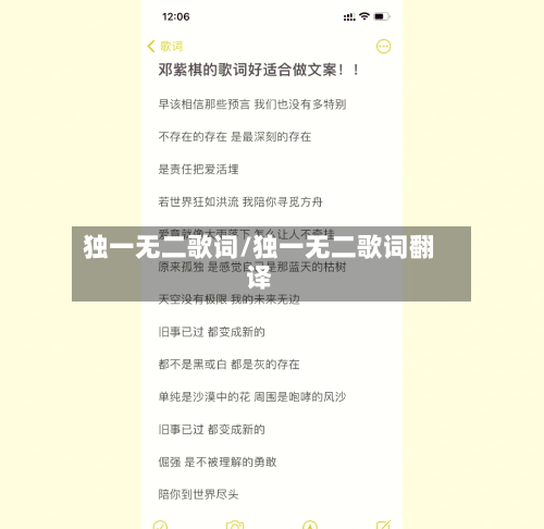 独一无二歌词/独一无二歌词翻译-第2张图片