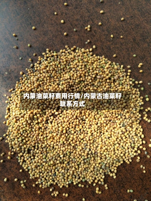 内蒙油菜籽费用行情/内蒙古油菜籽联系方式-第1张图片