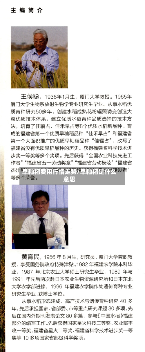 早籼稻费用行情走势/早籼稻是什么意思-第2张图片