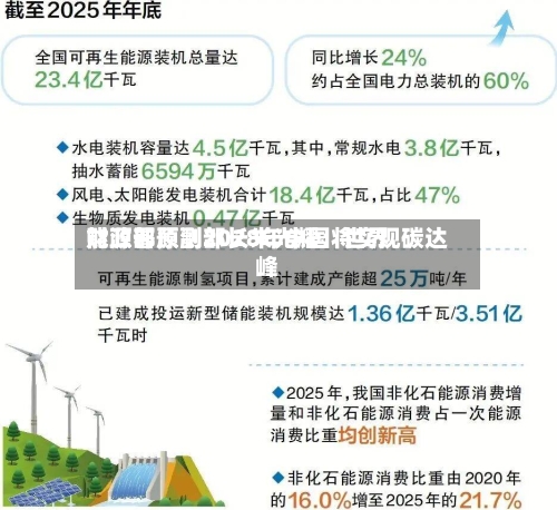 财政部原副部长朱光耀：世界能源署预测2028年中国将实现碳达峰-第1张图片