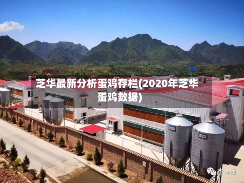 芝华最新分析蛋鸡存栏(2020年芝华蛋鸡数据)-第3张图片