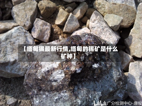 【缅甸锡最新行情,缅甸的锡矿是什么矿种】-第3张图片