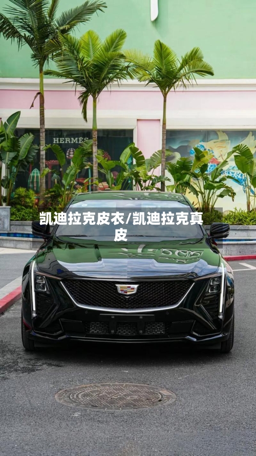 凯迪拉克皮衣/凯迪拉克真皮-第1张图片