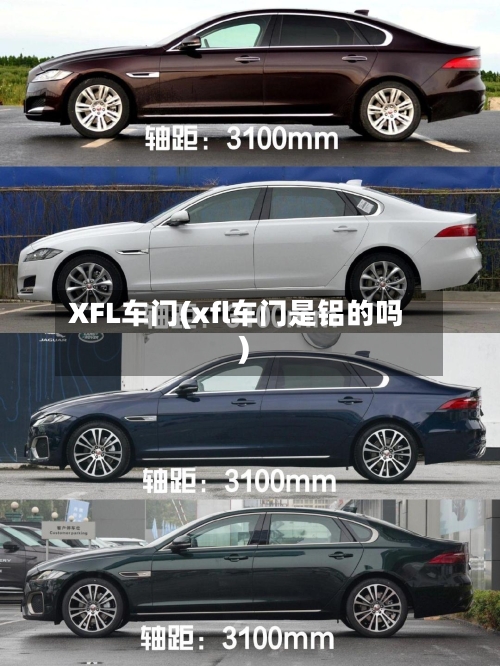 XFL车门(xfl车门是铝的吗)-第1张图片