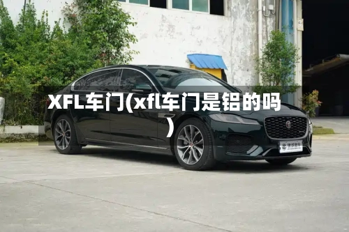 XFL车门(xfl车门是铝的吗)-第2张图片