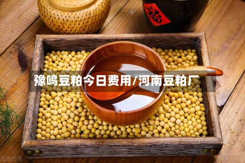 豫鸣豆粕今日费用/河南豆粕厂-第2张图片